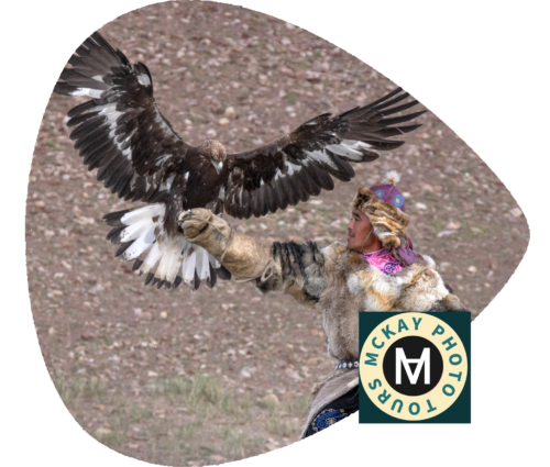 Mongolian-Eagle-Hunter